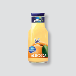 Succo Albicocca Big - Santal